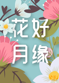 花好月缘秦三见说的什么