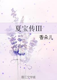 夏宝传3