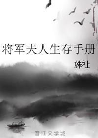 将军夫人生存手册 百度网盘