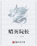 精英律师txt