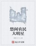 小农民大明星小说