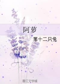 阿萝 遗珠小说