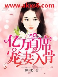 一胞二胎亿万首席宠妻入骨