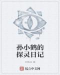 孙小鹤的探灵日记的另一个名字