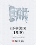 重生美国1950年代小说