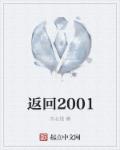 返回2006顶点