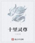 作者:十里剑尊