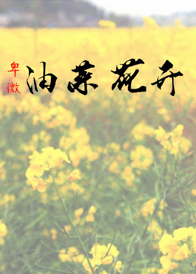 油菜花开100字