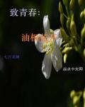 油桐花开花季节