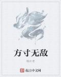 方寸无仙txt