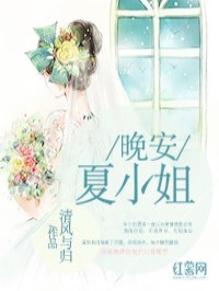 抖音小说女主叫夏晚安