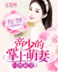 闪婚厚爱:帝少狂宠真命女