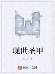 圣甲是什么意思