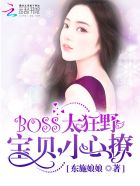 boss太撩人:宝贝