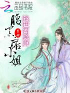 绝色召唤师:腹黑公子无良妾