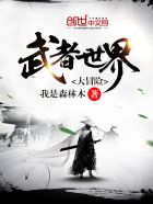 武者世界大冒险完结版 小说TXT下载