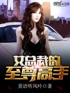 女总裁的至尊高手笔趣阁无弹窗