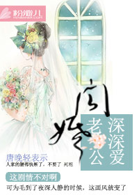 闪婚老公很神秘