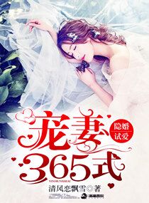 隐婚试爱:宠妻365式最