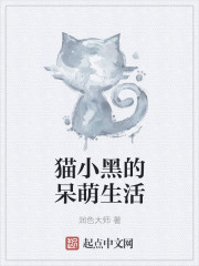 猫咪小黑动画片