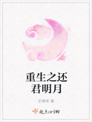 还君明月小说