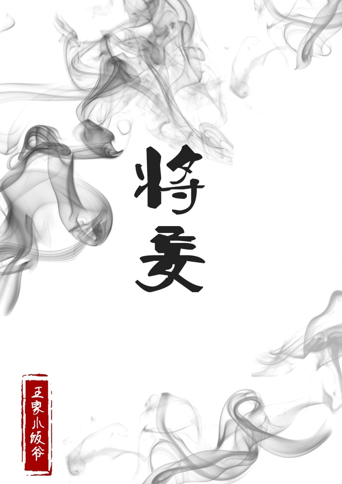 将妄 王家小饭爷txt