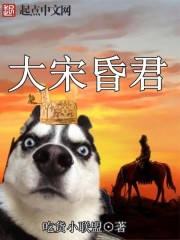 大宋之神级昏君