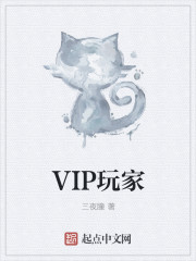 叠纸vip玩家