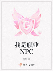 我是职业npc主角是谁