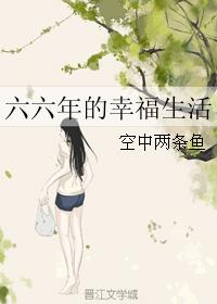 六六年的幸福生活晋江文学城