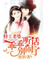 特工老婆:乖乖听话别闹了免费阅读