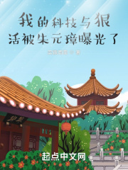 我的科技发明小说