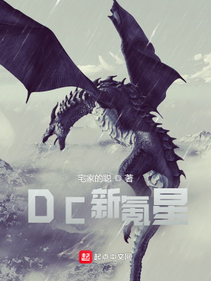 DC新氪星 小说