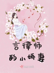 律师小说免费阅读