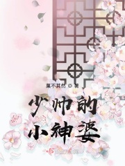 少帅的小神婆免费阅读