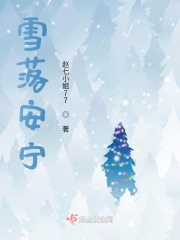 雪落安宁