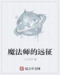 魔法师的攻略