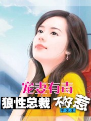 狼性总裁宠妻无度小说