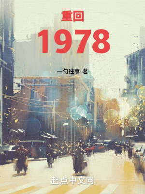 重回1978小说