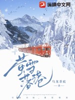 x萤映雪