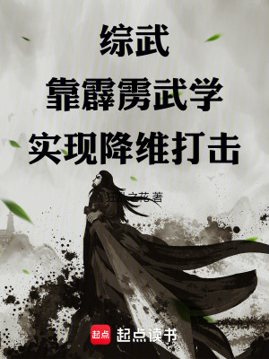 霹雳武功的小说