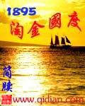 淘金国度1905小说