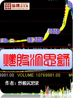 炒股纪实小说