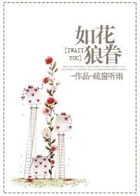 美眷如花小说