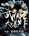 武侠大爆炸txt无删减版