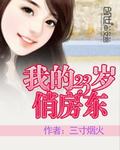 我的23岁美女房东H版