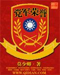 党军荣誉小说免费阅读