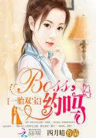 一胎双宝boss约吗百度云