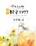 重生相守1977免费阅读