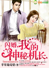 闪婚神秘老公作者我是木木